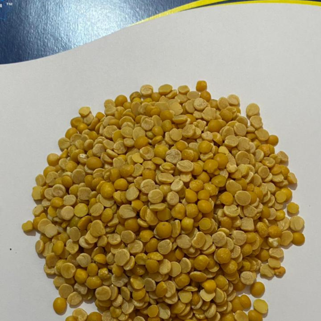 Your paragraph text (15).png